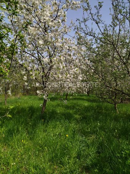 Breaza Judet Prahova casa de exceptie - OFERTA - 7