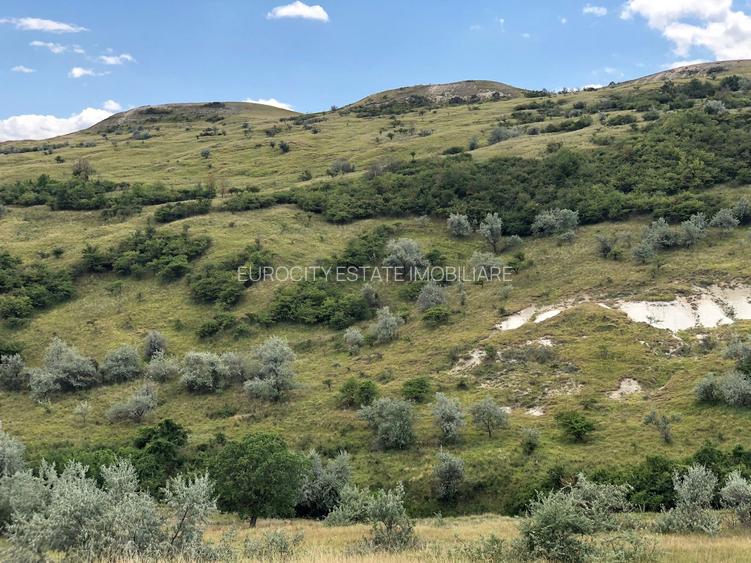 Vanzare 50 Ha pasune, judetul Prahova - 12