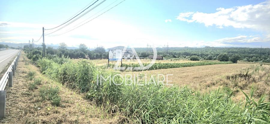 Teren de vis în Sat Moi, Comuna Bâlteni – cu deschidere la drumul european E79 - 3