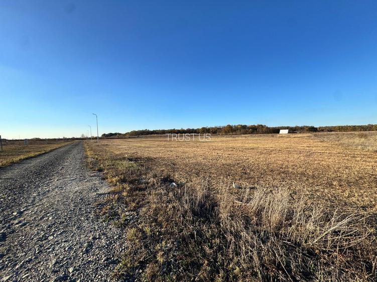 COMISION 0% | Teren Intravilan | Mosnita Veche | 775 mp | 26 m Front - 2