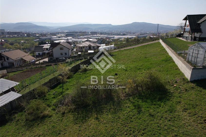 Teren de vanzare 10 ari - zona LEONI - 11