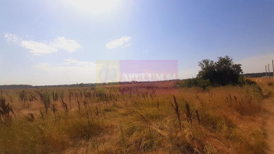 Teren pentru casă/case în Brănești pe strada Toporași - 13