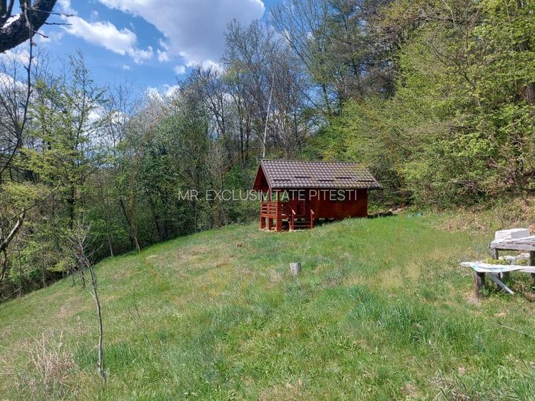 Casa imbratisata de padure + cabanuta de vara - Valea Ursului, Bascov - 15