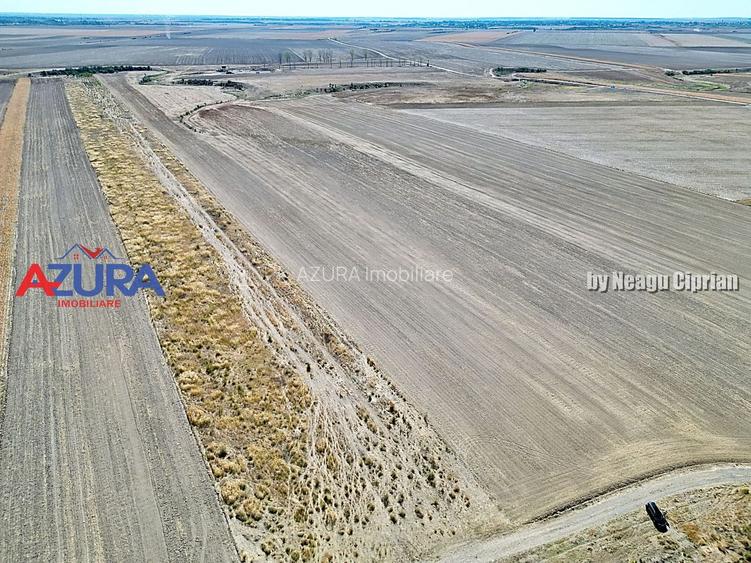 Teren agricol, 5HA, comasat, drum acces, Cateasca - 9