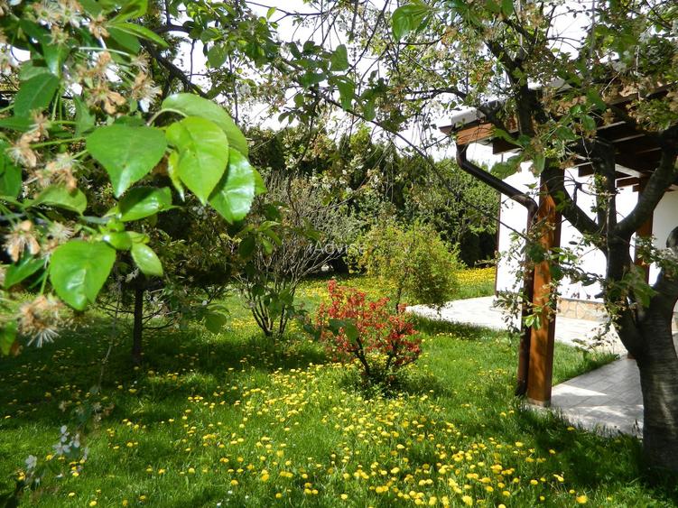 Apartamet 4 Camere Parter Casa Bartolomeu - 21