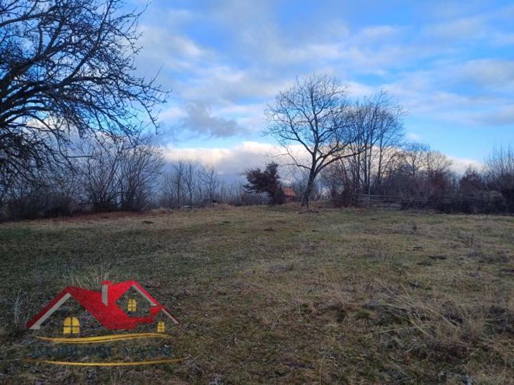 Teren Intravilan 3000 mp – Cisnădie