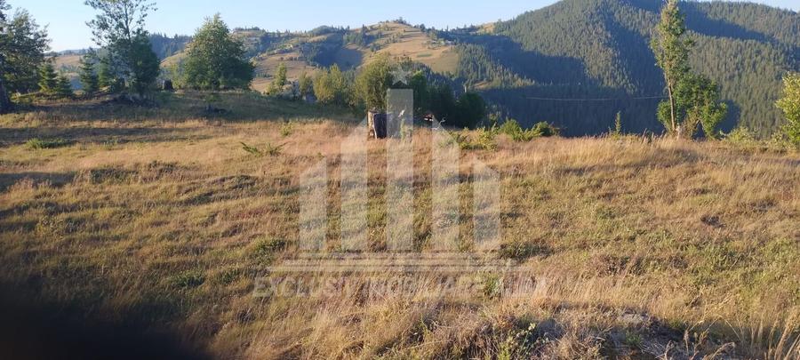Teren intravilan | 3565 mp | Ideal constructie cabane | Garda de Sus