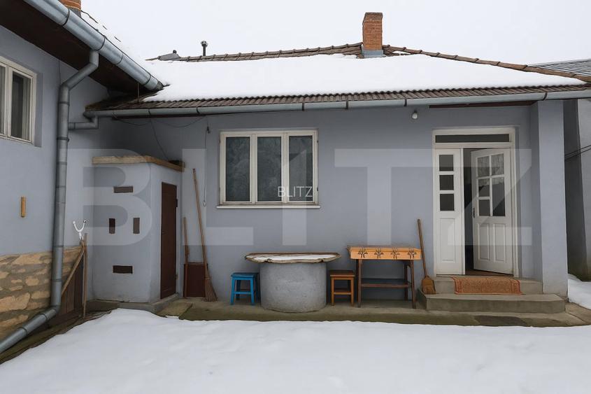 Casă țărănească cu 242 mp utili și teren de 1315 mp, Mănăstireni - 2