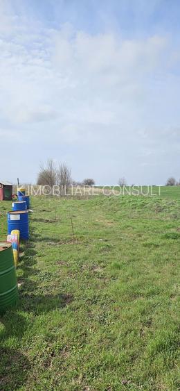 Afumati Balta Batal teren de vanzare 7000 mp - 6