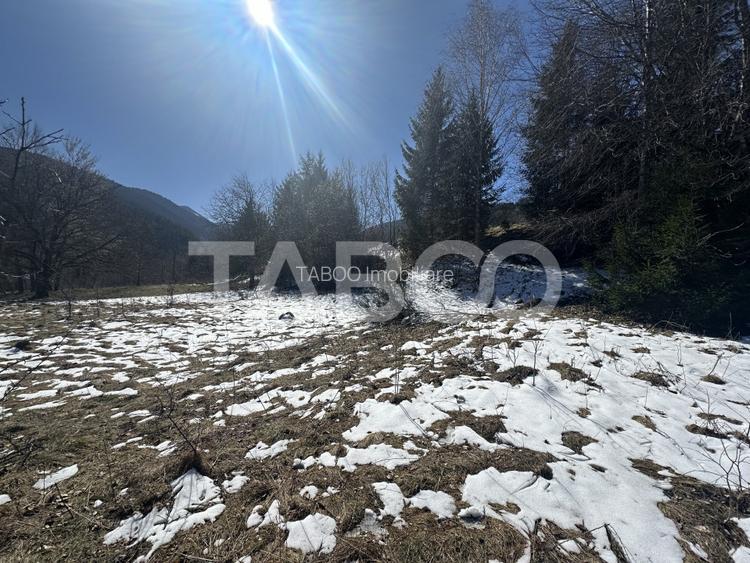 Teren extravilan 4600 mp cu acces la rau Satul de Vacanta Dejani - 3