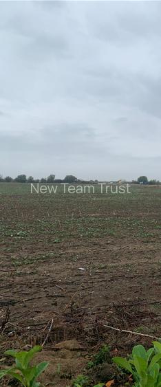 Vanzare Teren Intravilan Tunari - Dimieni Autostrada A0 - Tamasi - Snagov - 2