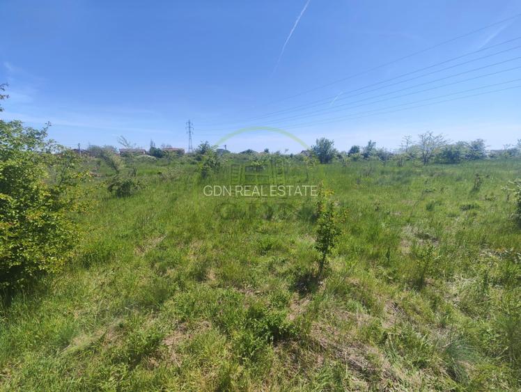 Teren intravilan, 390 MP, Malu Mare, Parcul Nicolae Romanescu - 3