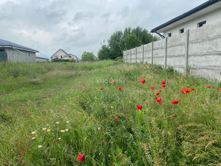 Teren de vanzare intravilan Branesti- Pasarea , Rezidential, Utilitati - 2