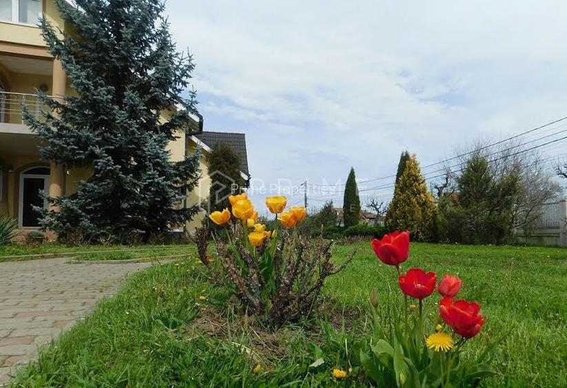 Reședință de lux cu potențial comercial –zonă Băi, Sângeorgiu de Mureș - 2