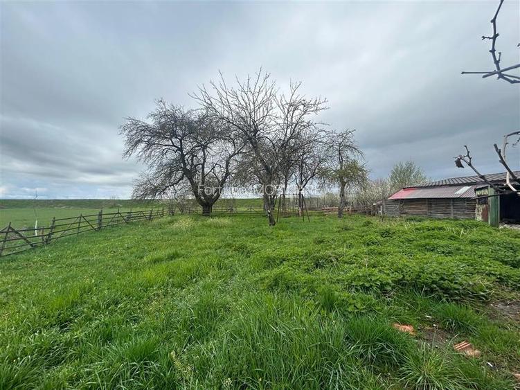 Comision 0%Casa traditionala, la 25 km de Brasov - 4