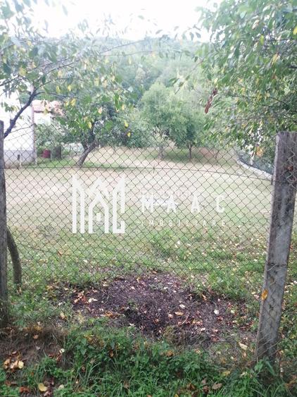 Teren Intravilan 10.000 mp | Livadă + Pădure de salcâm | Bărbătești - 6