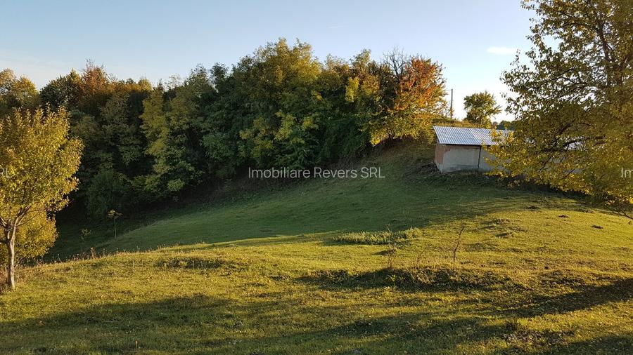 Teren livadă cu panoramă superbă Dealul Malului pentru casă sau cabană - 3