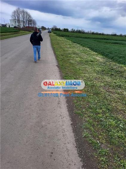 Teren Autostrada A3 Moara Vlasiei 26000 mp  Industrial Depozitare - 3