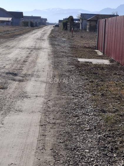 Teren 500 mp situat in strada Nicolae Balcescu - localitatea Harman! - 7