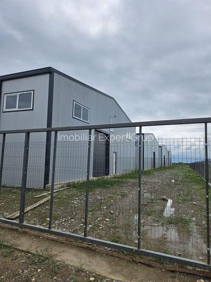 Hale noi 2026 AFUMATI ( Moara Domneasca ) 2300 Euro - 12