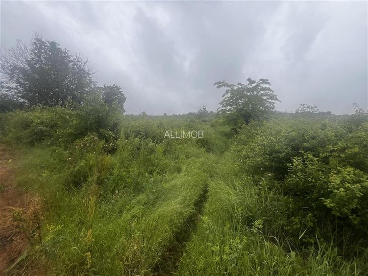 Teren intravilan, 1000mp, in Valea Calugareasca. - 7