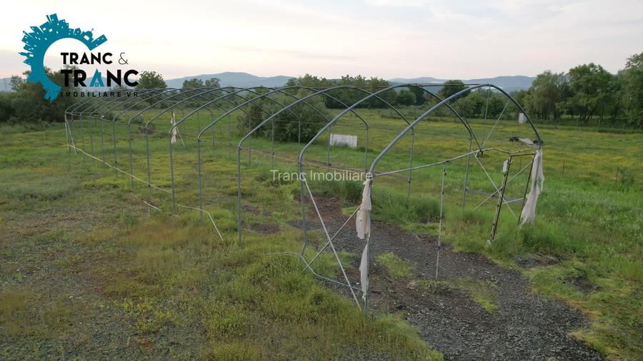 COMISION 0% Hala noua de 317 m2, intr-o zona feerica, in Ususau - 6