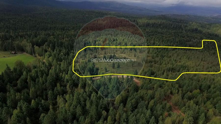 Teren extravilan parcelabil Călățele Pădure, zona Dealu Negru - 4