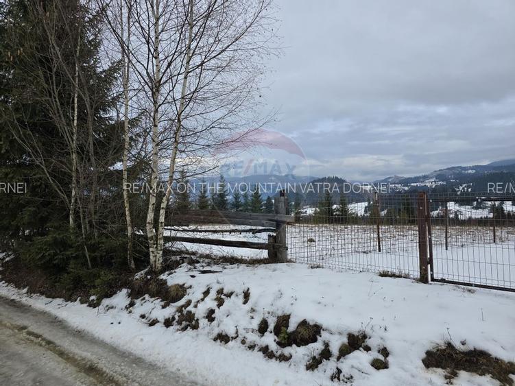 Teren 3,868mp Dorna-Arini / Strada Principala - 5