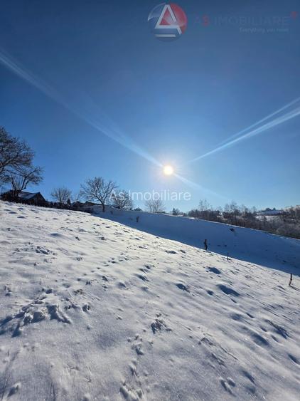 Oportunitate Unică! Teren în Moieciu de Jos – Natură Pură, Pârâu și Potential - 9