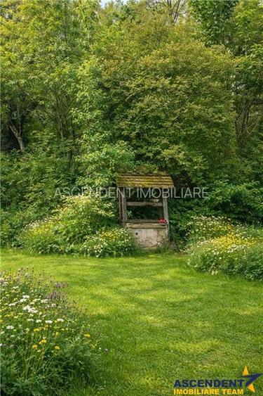 Domeniu verde autentic,  +5.000mp, front la DJ, Valcele, Brasov -- Covasna - 2