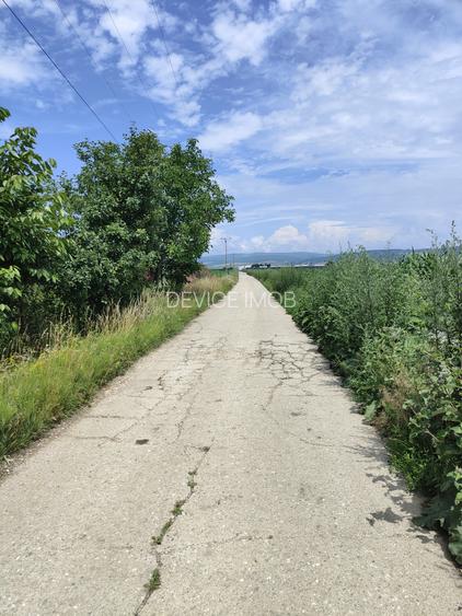 Teren industrial Bod -Drum Betonat -Utilitati - 7