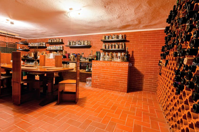 Vilă S+P+M, 2 fronturi stradale, ideală locuit/birouri/clinică, grădiniță, etc - 3