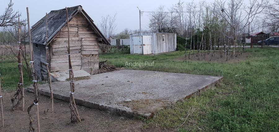 Teren intravilan 2300mp Sarulesti Sat Calarasi - 8