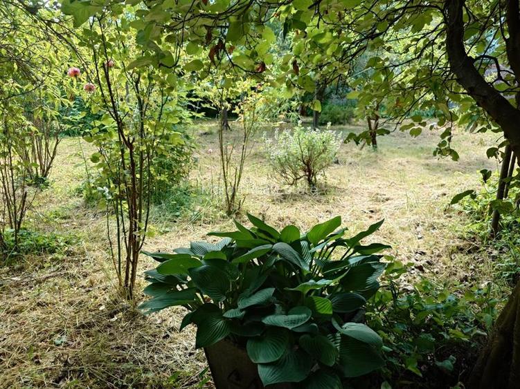 Casa, anexe si teren amplasate central in municipiul Brad - 12