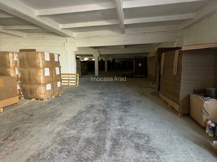 De închiriat hală depozitare 320/640 mp Aluniș Arad - 2