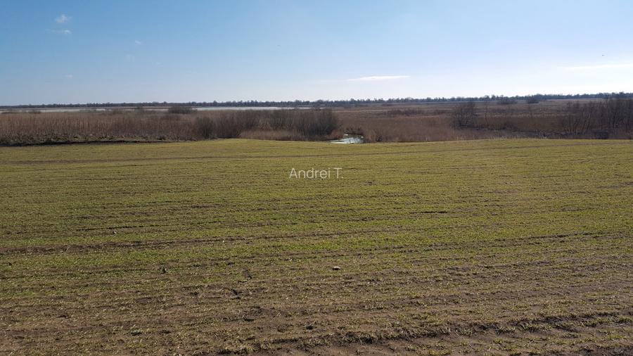 Teren în Deltă–locație excelentă pentru dezvoltare turistică - 8