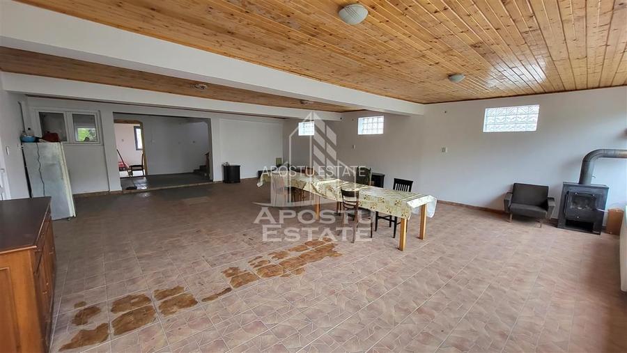 Casa ideala pentru birouri/alte activitati Mehala - 26