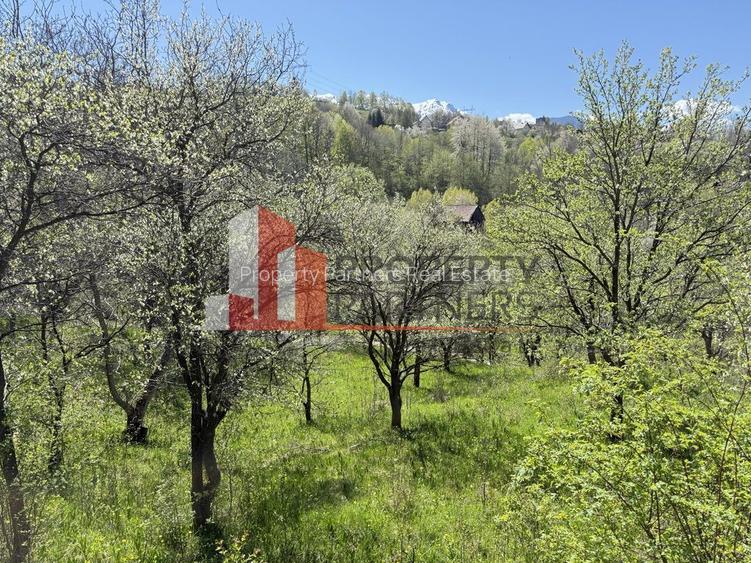 Teren 2500 mp Sohodol - 17