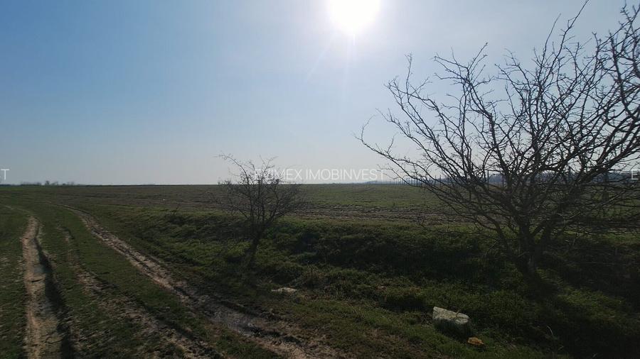 Teren intravilan -Balaceanca - 5