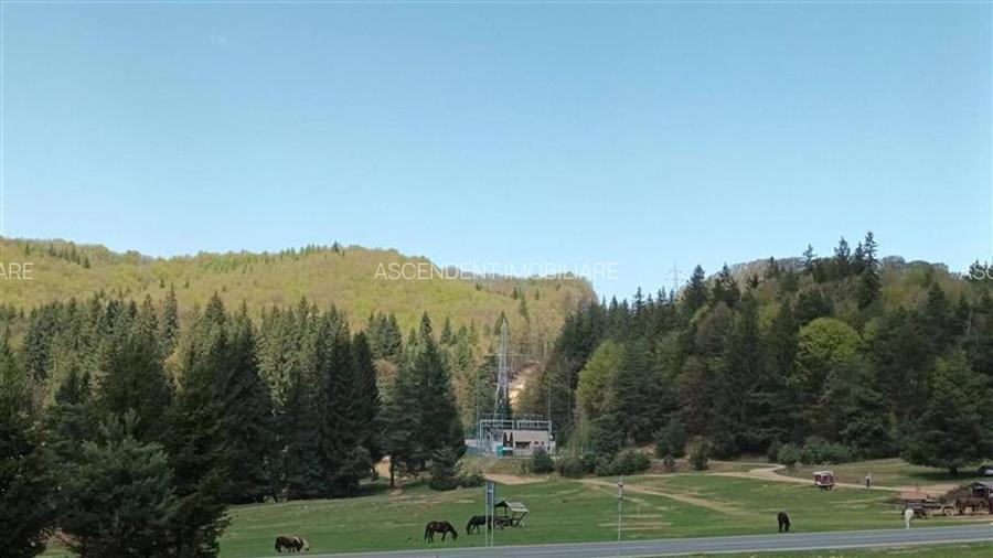 Teren cu potential:1.000 mp,proiect turistic/rezidential,Poiana Brasov - 2