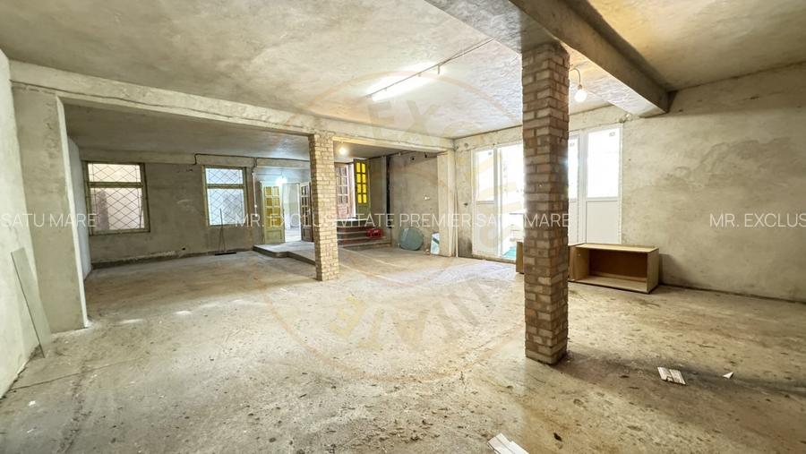 Spatii de Inchiriat - Proprietate cu functiuni mixte - Str. Caplenilor Carei - 7