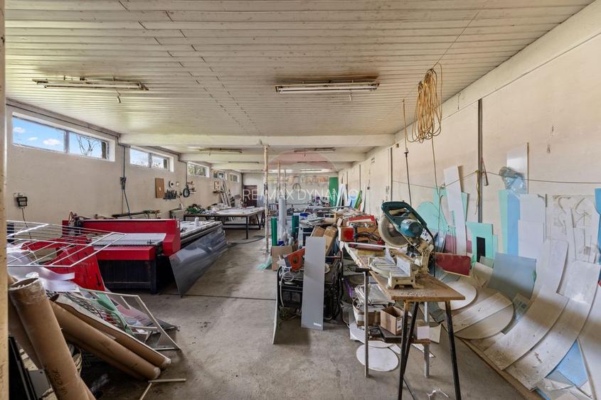 Hala spațioasă și versatilă de închiriat - Aradul Nou - 10