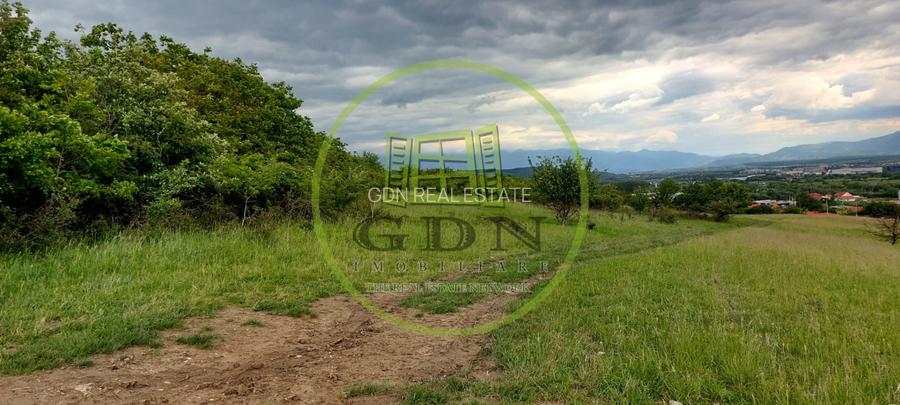 Teren Intravilan 6500mp, spre vanzare in Gusterita - 3