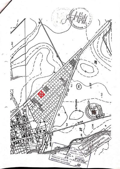 Teren intravilan Cernica la soseaua principala - 6