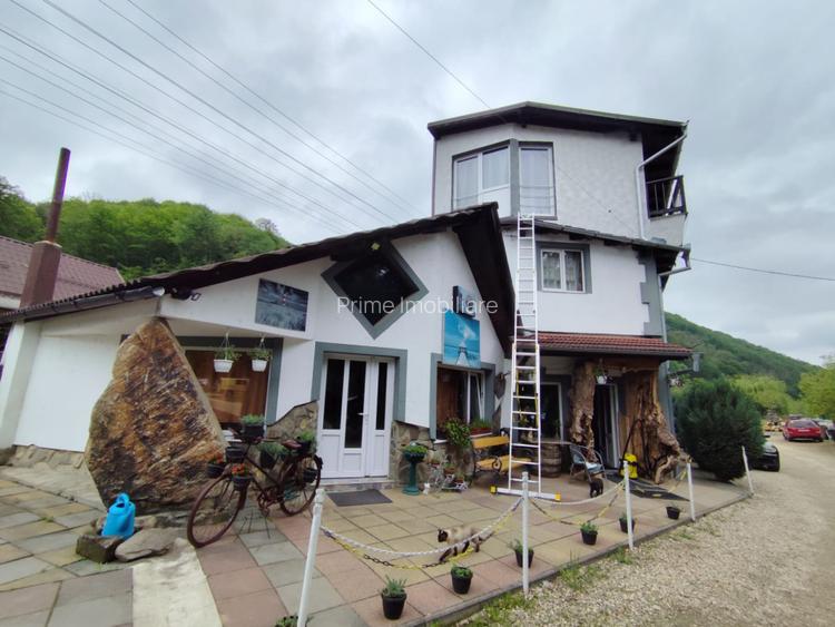 Cabana de vis, 7 camere, 320mp zona Strungari - 14