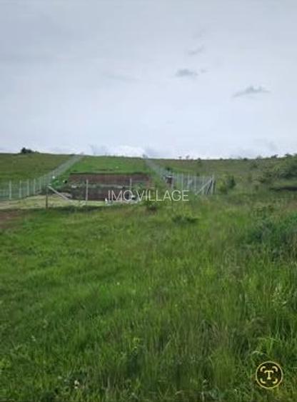 Vand 9 ari teren intravilan, Sancraiu de Mures, aproape de padure - 2