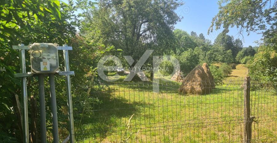 Teren în comuna Corbeni - 8