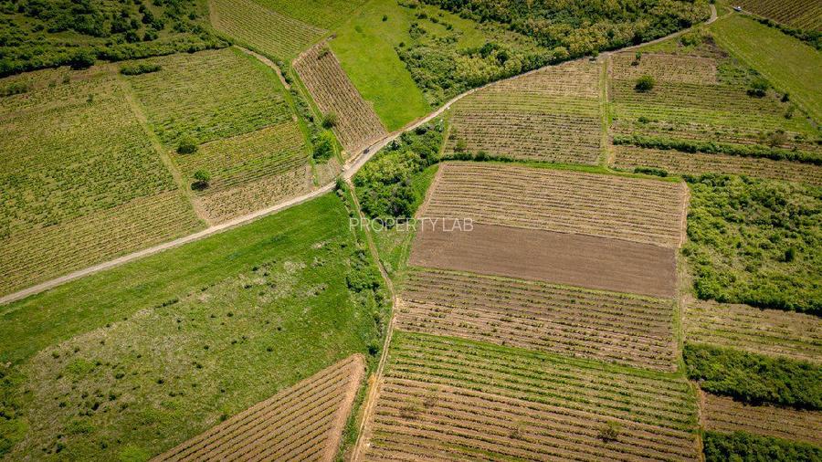 Teren extravilan - 3654 mp Dealul Șiriei - 6