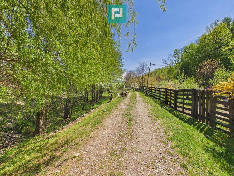 Casă Câmpani, 8000 mp teren, la poalele Apusenilor - 21