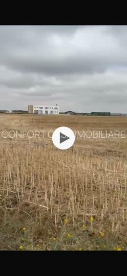 Corbu, lot 500 mp, extravilan - 3